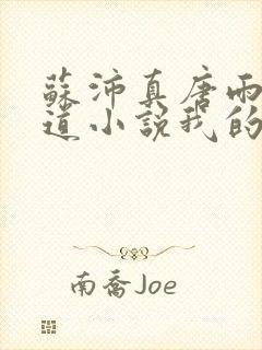 苏沛真唐雨菲林道小说我的岳母