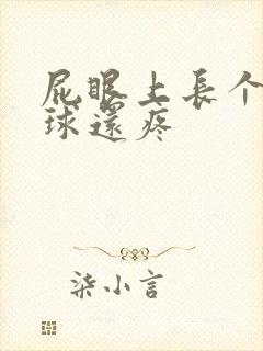 屁眼上长个小肉球还疼