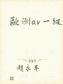 欧洲av一级封面
