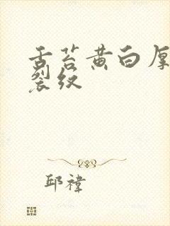 舌苔黄白厚腻有裂纹