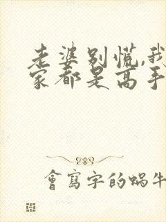 老婆别慌,我全家都是高手短剧封面