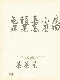 龟头长小疙瘩还痒是怎么回事