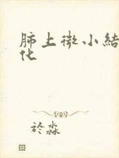 肺上微小结节钙化