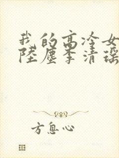 我的高冷女总裁陆尘李清瑶封面