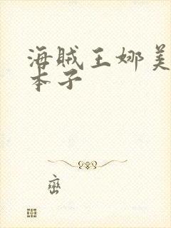 海贼王娜美同人本子