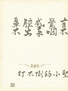 鼻腔感觉有痰咳不出来咽不下去