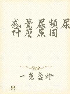 感觉尿频尿少是什么原因