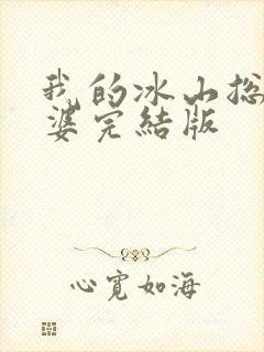 我的冰山总裁老婆完结版