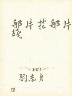 那片花那片海在线封面