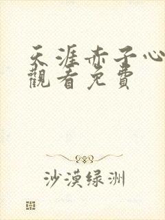 天涯赤子心全集观看免费