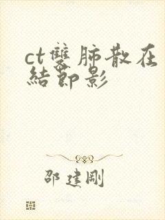 ct双肺散在小结节影封面