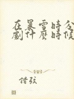 在暴雪时分电视剧什么时候上映封面