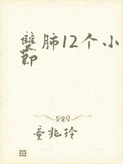 双肺12个小结节