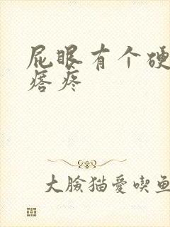 屁眼有个硬硬疙瘩疼