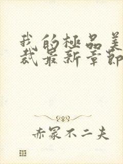 我的极品美女总裁最新章节列表最封面