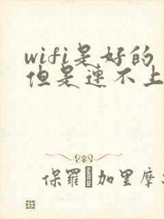 wifi是好的但是连不上网