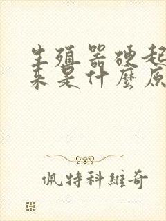 生殖器硬起不起来是什么原因