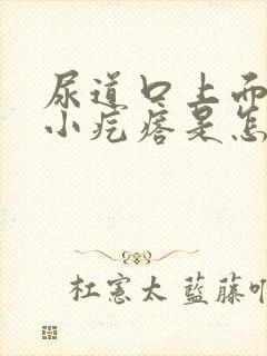 尿道口上面上了小疙瘩是怎么回事