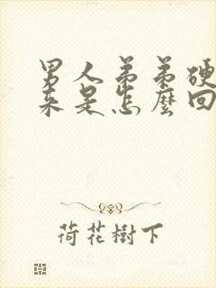 男人弟弟硬不起来是怎么回事