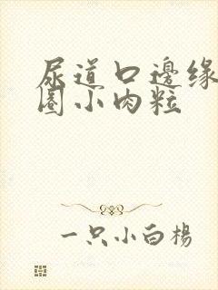 尿道口边缘有一圈小肉粒封面