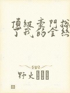 顶级豪门总裁成了我的金丝雀全集封面