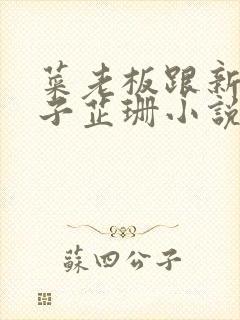 菜老板跟新婚妻子芷珊小说