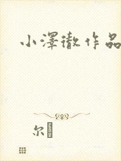 小泽彻作品番号封面