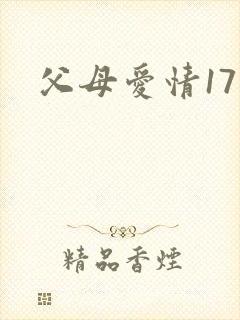 父母爱情17集
