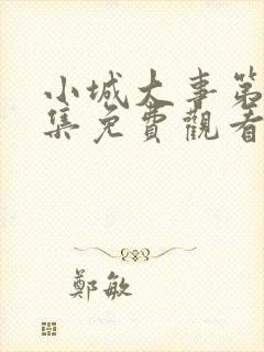 小城大事第24集免费观看封面