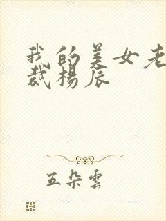 我的美女老婆总裁杨辰