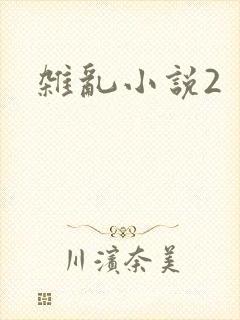 杂乱小说2