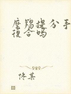 摩羯提分手还能复合吗