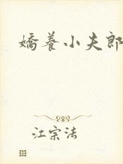 娇养小夫郎女尊