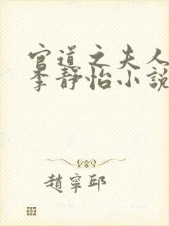 官道之夫人林皓李静怡小说封面