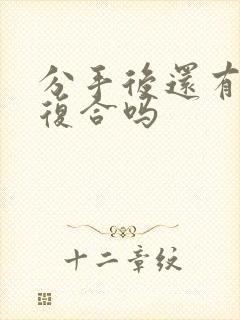 分手后还有可能复合吗封面