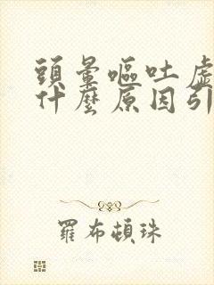 头晕呕吐虚汗是什么原因引起的