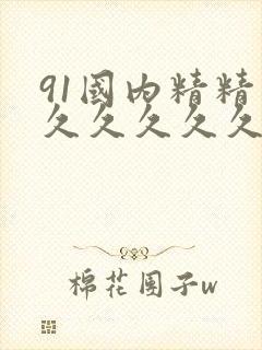91国内精精品久久久久久婷婷
