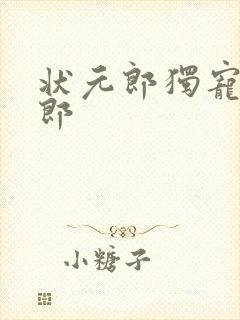 状元郎独宠小夫郎