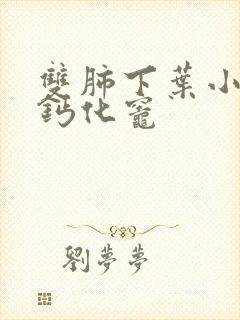 双肺下叶小结节钙化灶