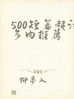 500短篇超污多肉推荐