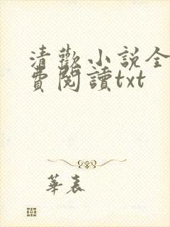 清欢小说全文免费阅读txt封面
