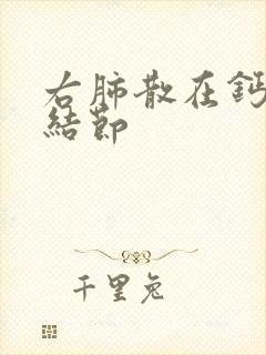 右肺散在钙化小结节