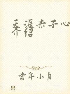 天涯赤子心分集介绍封面