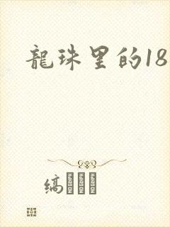 龙珠里的18号