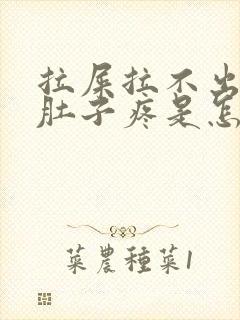 拉屎拉不出来小肚子疼是怎么回事