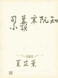 司暮寒阮知夏的小说封面