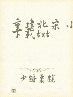 重建北宋 小说下载txt