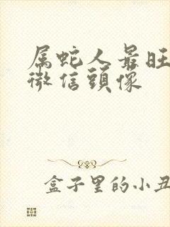 属蛇人最旺运的微信头像