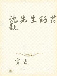 沈先生的花式调数