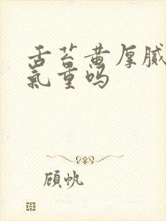 舌苔黄厚腻是湿气重吗封面